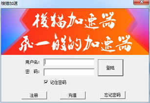 在豬八戒網平臺如何選擇專業的網絡與信息安全軟件開發服務？